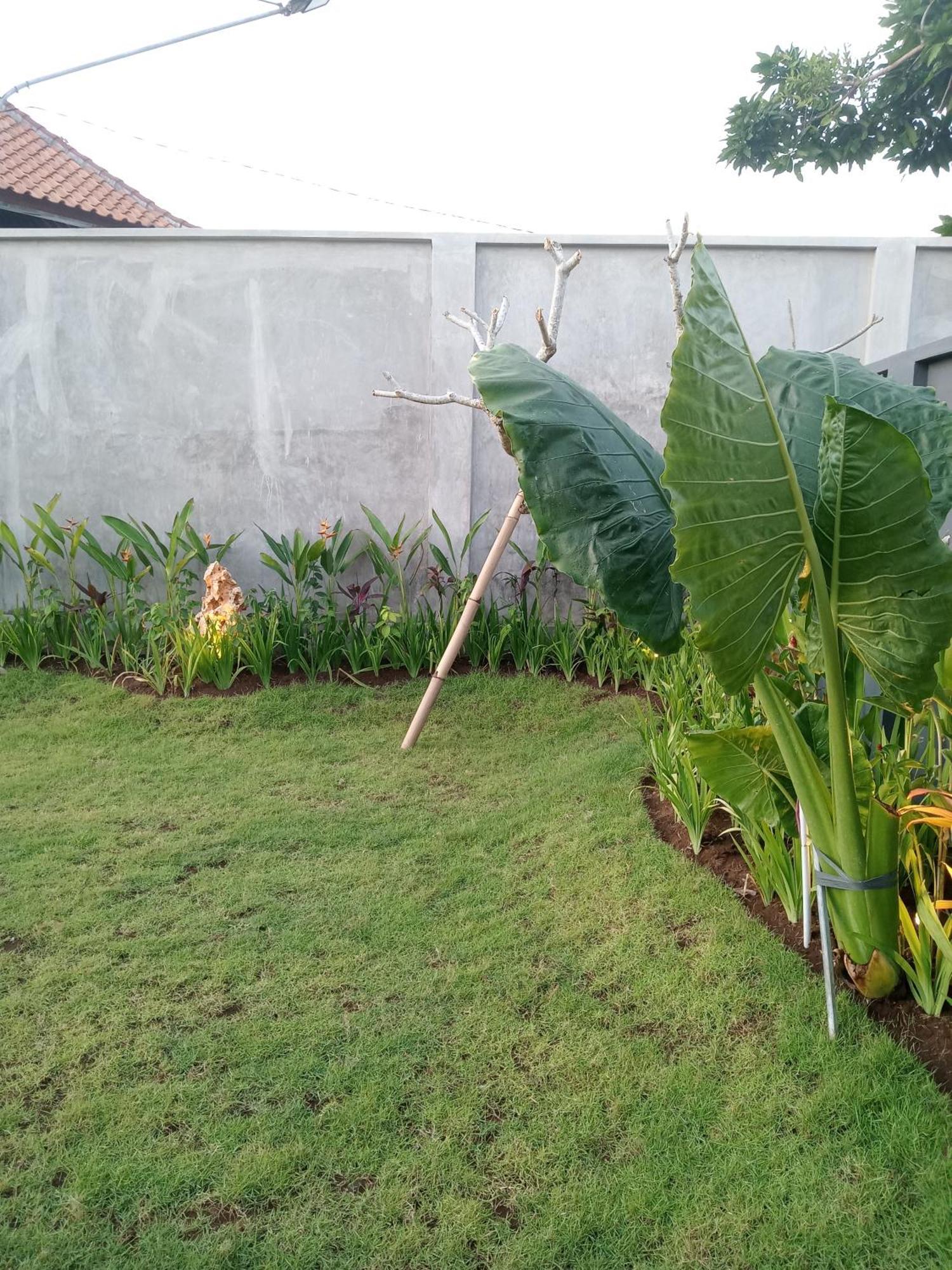 Parama Homestay Balangan Uluwatu Εξωτερικό φωτογραφία
